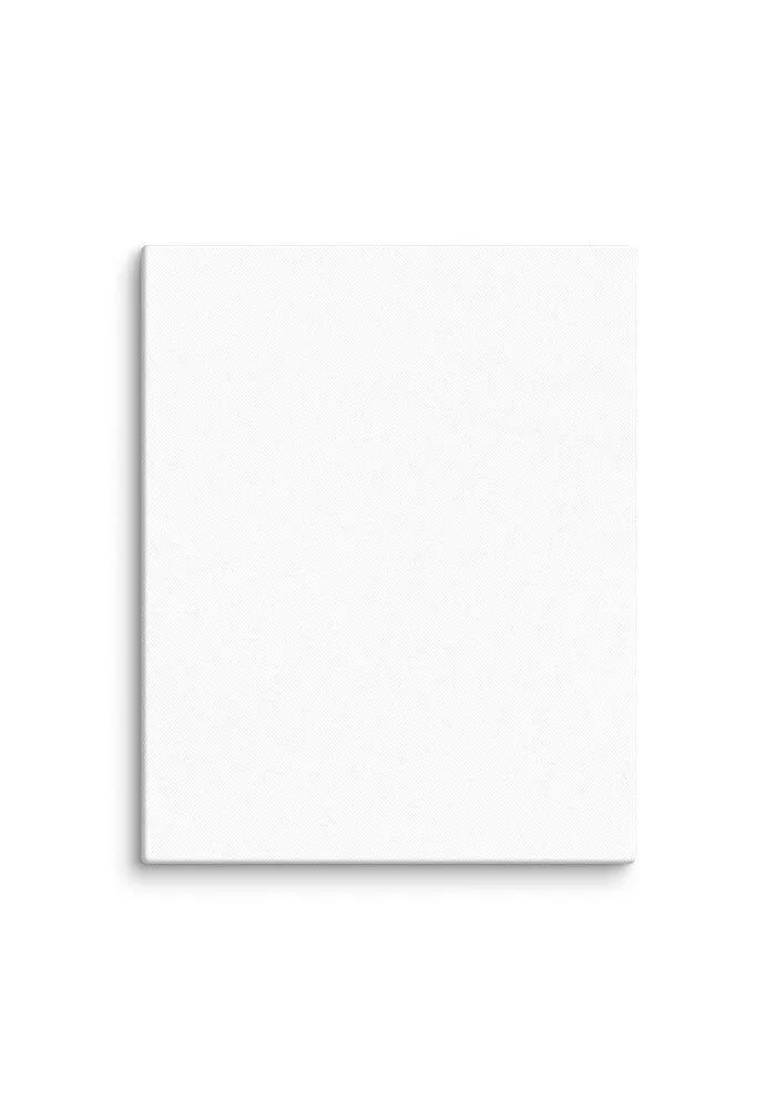 Canvas view 4